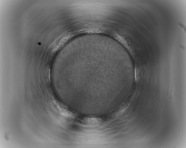 X0000102470205200808291612