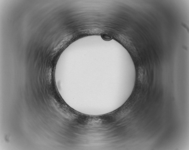 X0000102470206200808291612