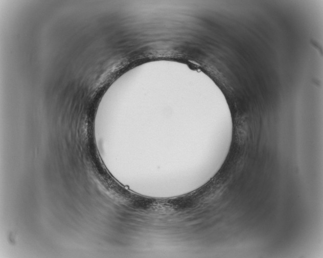 X0000102470207200808291612