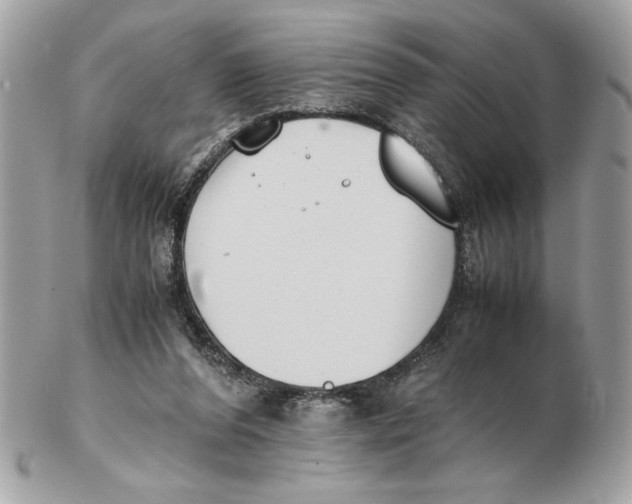 X0000102470208200808291612
