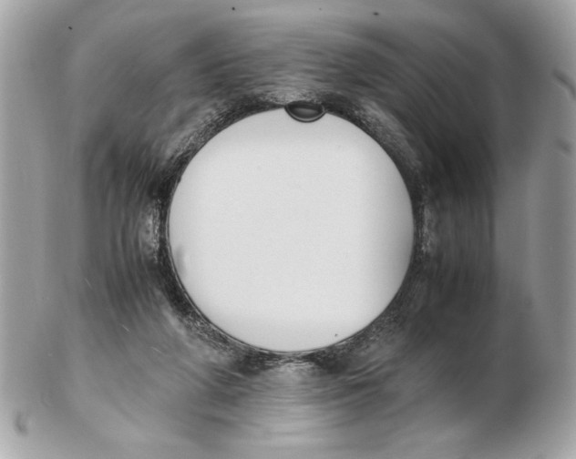 X0000102470210200808291612