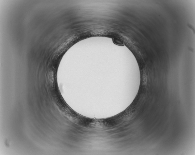 X0000102470211200808291612