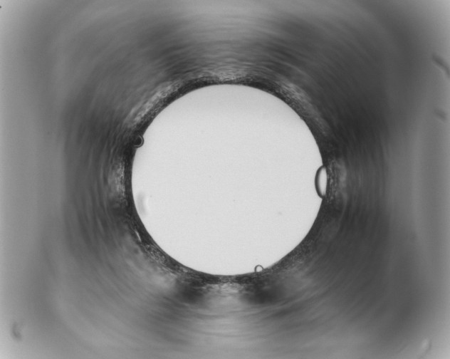 X0000102470212200808291612