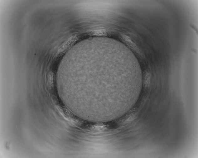 X0000102470213200808291612