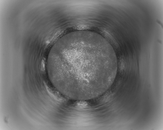 X0000102470214200808291612