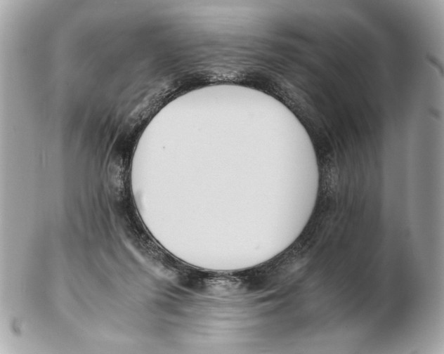 X0000102470215200808291612
