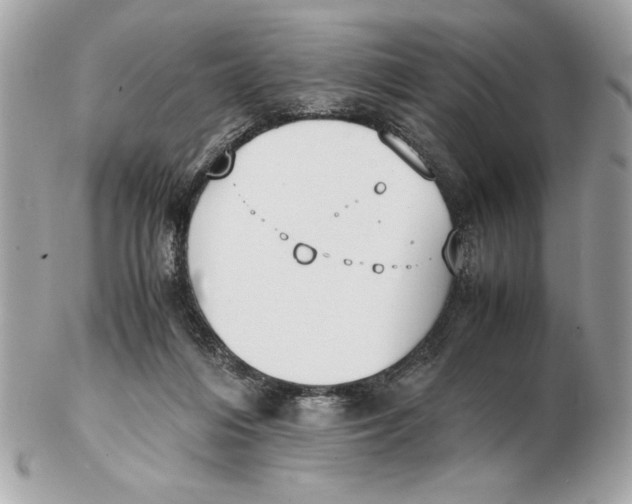 X0000102470216200808291612