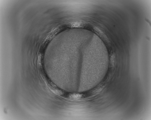 X0000102470217200808291612