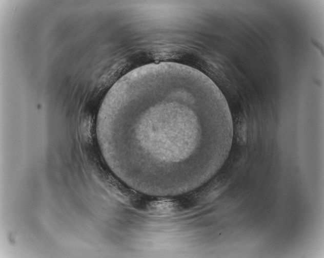 X0000102470219200808291612
