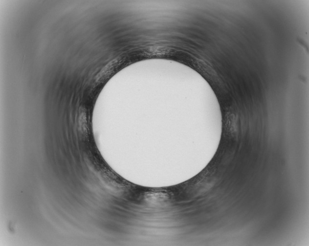 X0000102470220200808291612