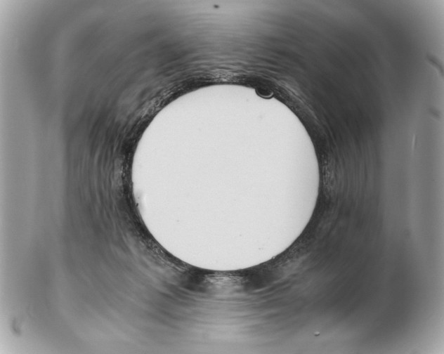 X0000102470221200808291612