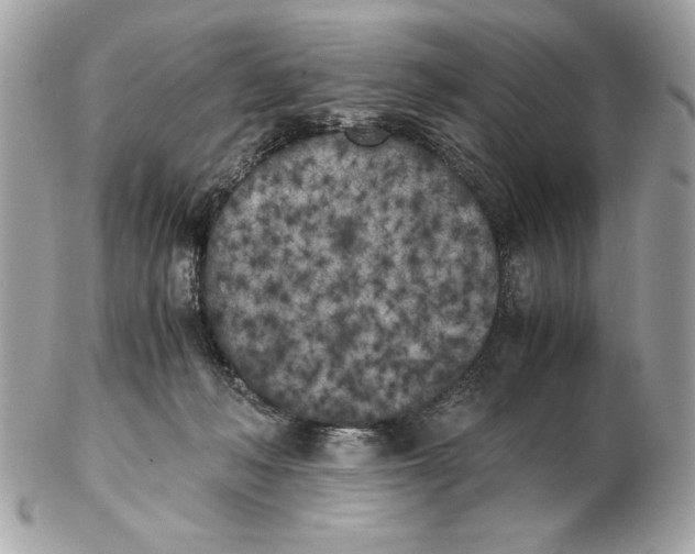X0000102470222200808291612