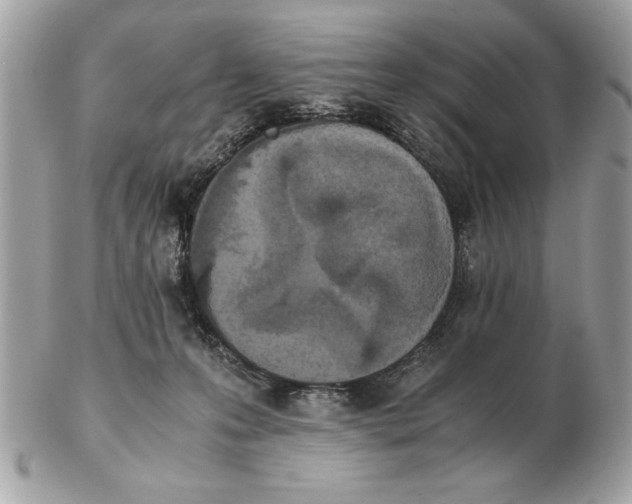X0000102470223200808291612