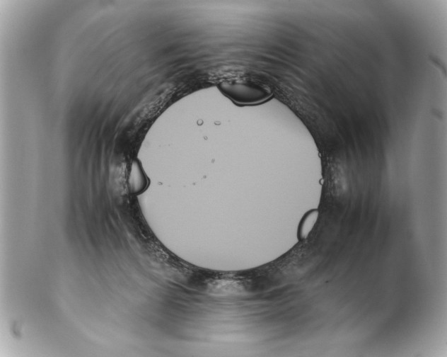 X0000102470224200808291612