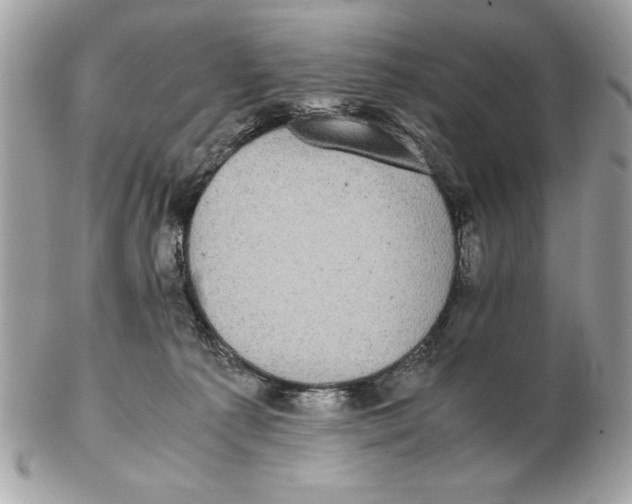 X0000102470225200808291612