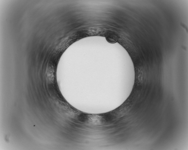 X0000102470226200808291612