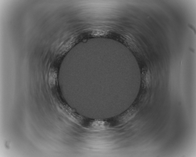 X0000102470227200808291612