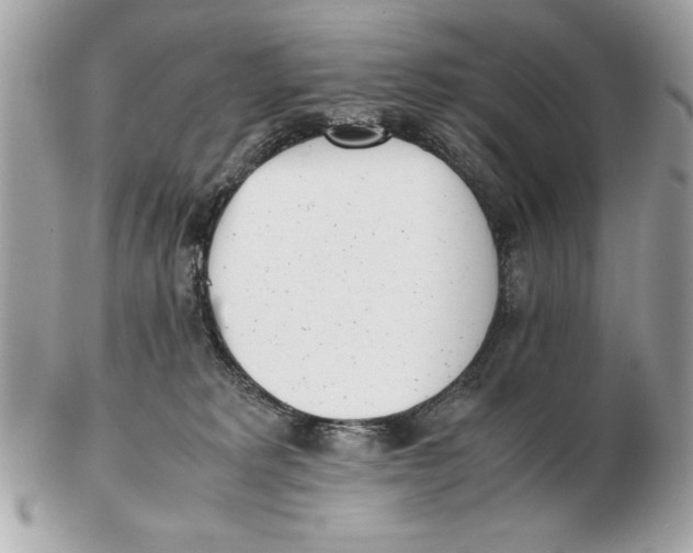 X0000102470229200808291612