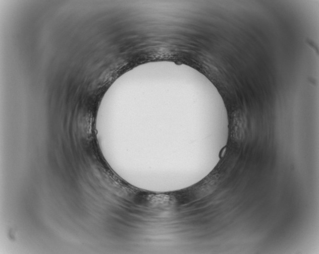 X0000102470230200808291612