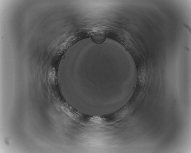 X0000102470231200808291612