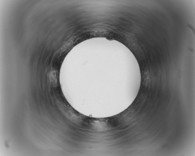 X0000102470232200808291612