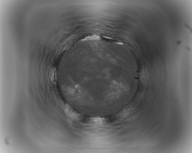 X0000102470233200808291612