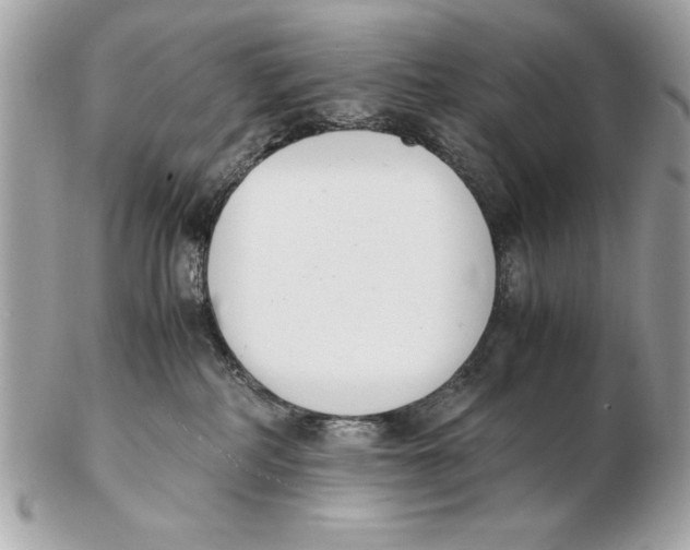 X0000102470234200808291612