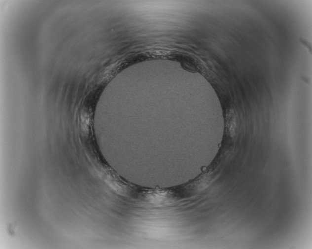 X0000102470235200808291612