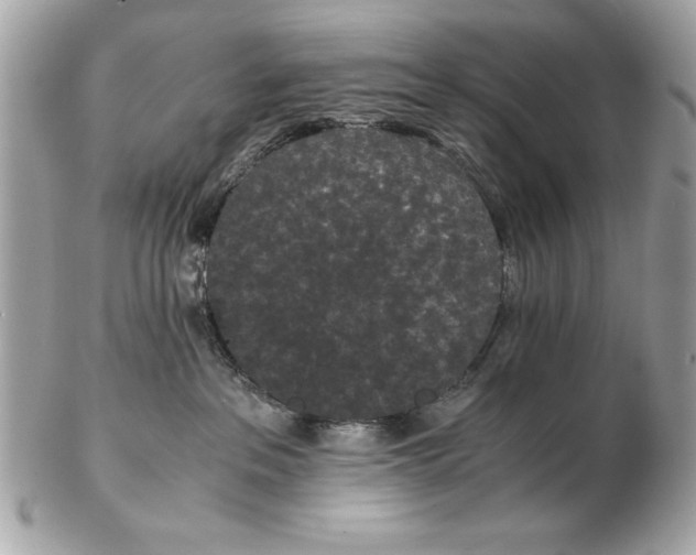X0000102470237200808291612