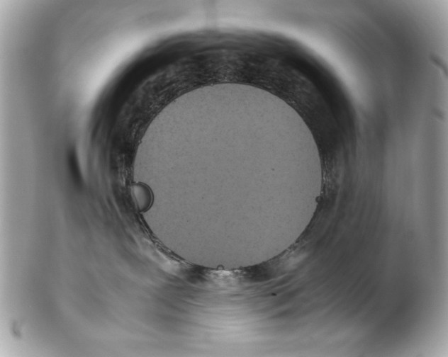 X0000102470239200808291612