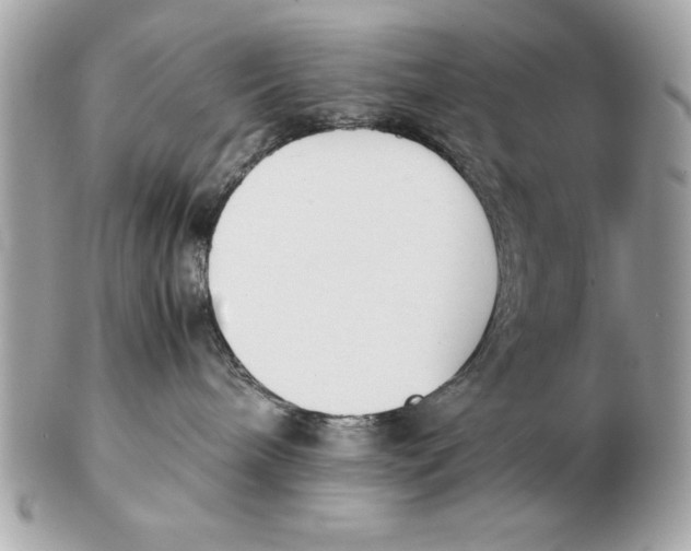 X0000102470240200808291611