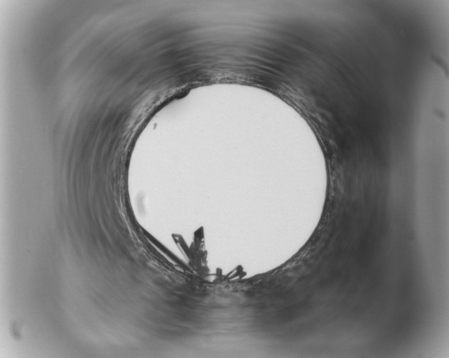 X0000102470241200808291611
