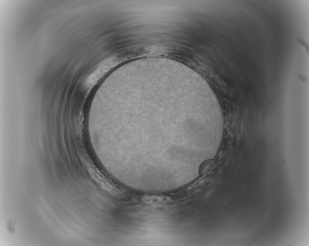 X0000102470242200808291611