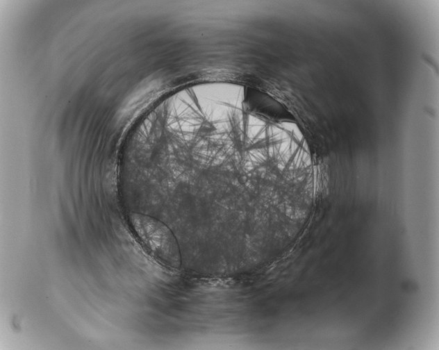 X0000102470243200808291611