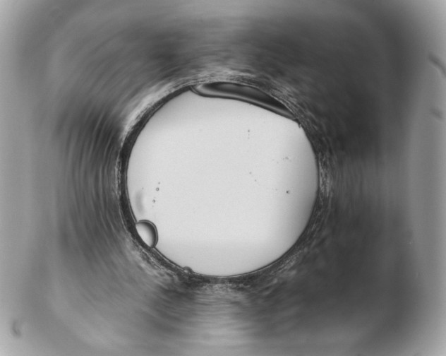 X0000102470244200808291611