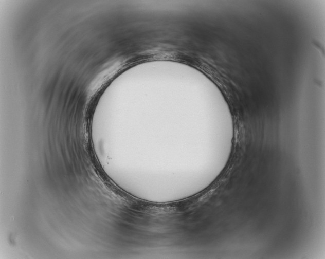 X0000102470245200808291611