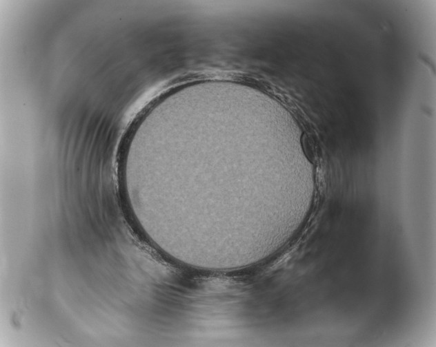 X0000102470246200808291611
