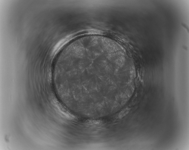 X0000102470247200808291611