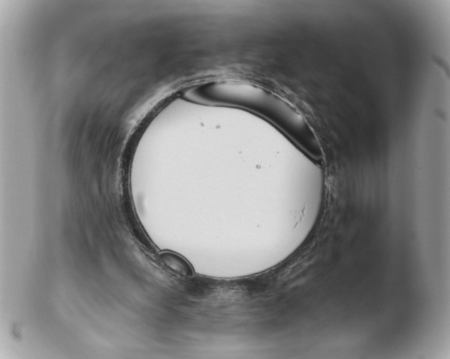 X0000102470248200808291611