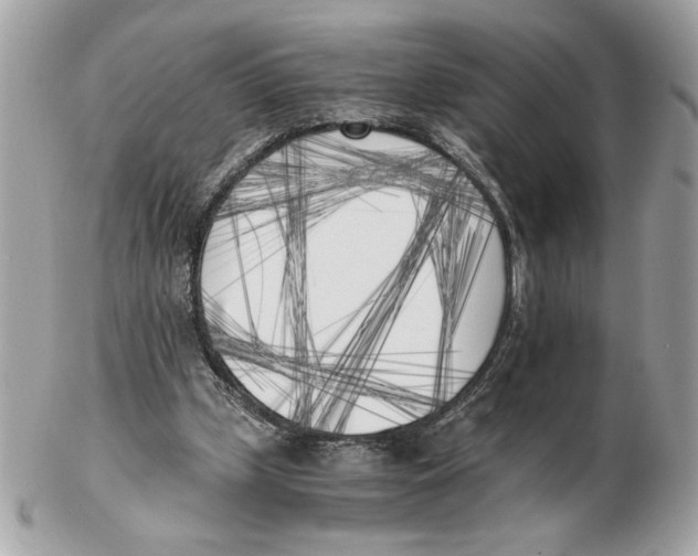 X0000102470249200808291611