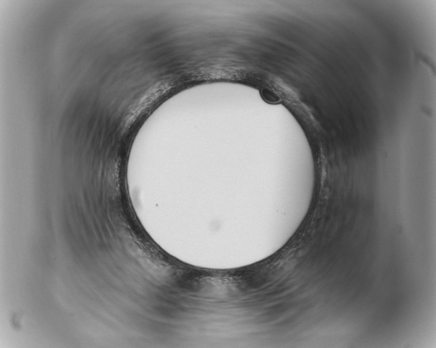 X0000102470250200808291611