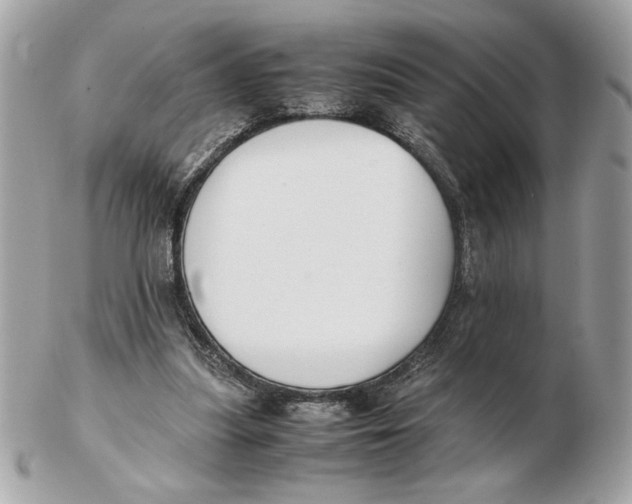 X0000102470251200808291611