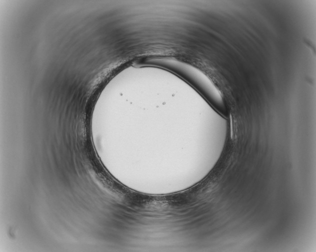 X0000102470252200808291611