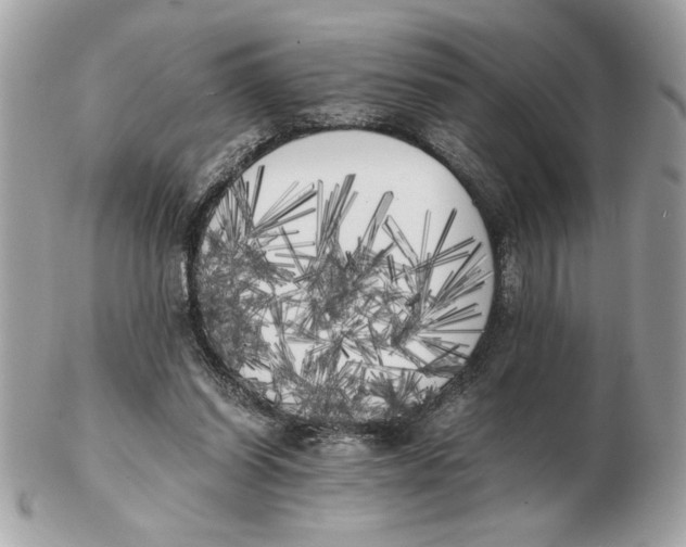 X0000102470254200808291611