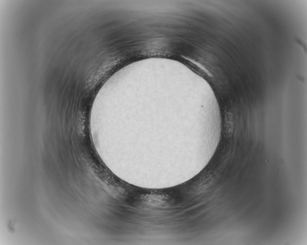 X0000102470255200808291611
