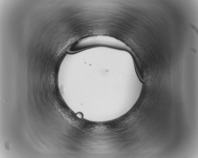 X0000102470256200808291611