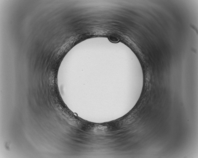 X0000102470257200808291611