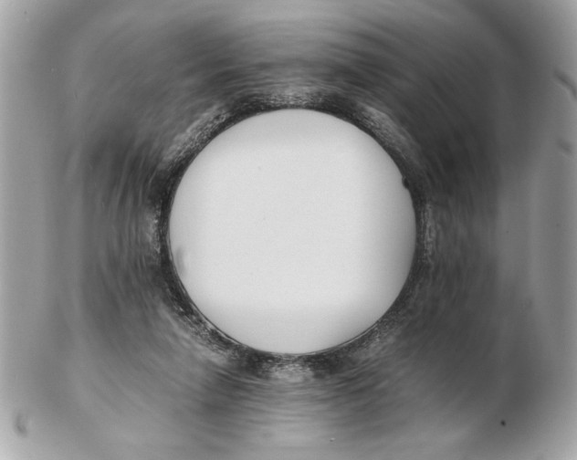 X0000102470258200808291611