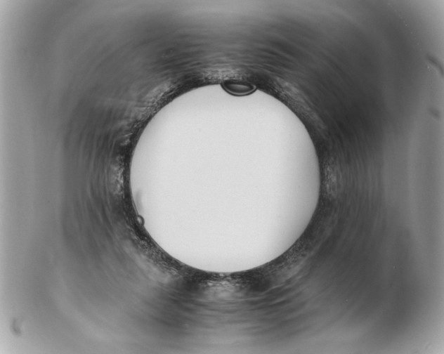 X0000102470259200808291611