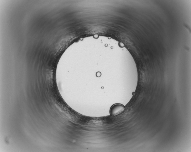 X0000102470260200808291611